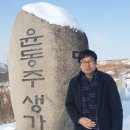 벨 헤이는 밤 이미지