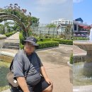 조선대(장미원) 이미지