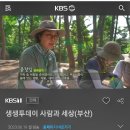 윤정임선생님, KBS2 생생투데이 사람과 세상에 방영 이미지