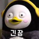 2024년 하반기 첫 취준 회고