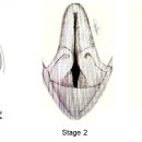 나우메디칼 이미지