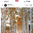 미녀PC방 이미지