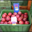 안동청과 이미지