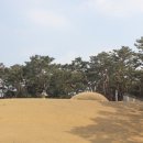 풍산임업 | 홍릉숲과 주변 탐방