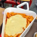 신전 Daum카페