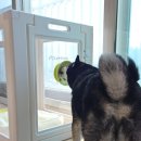 (주)옵티아이 이미지