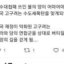 고구려가 멸망한 진짜 원인.jpg 이미지