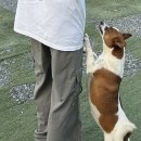 장군로-1 이미지