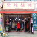 오시날개 이미지