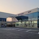블루핸즈