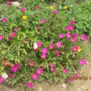 항아리농장 이미지