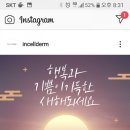 인셀덤하다 네이버블로그