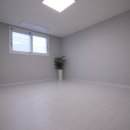 더트렌디 이미지