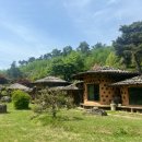 솔향기펜션 | 경기도 안성 촌캉스 숙소 솔향기흙내음 펜션 들꽃방 솥뚜껑 바베큐 솔직 후기
