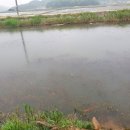 덕교천 이미지
