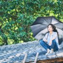 리틀포레스트 네이버블로그
