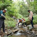 대공원 산림욕장이 수산이 되는 날, 수산산악회...산수 좋은 곳에서 명화 그려 이미지