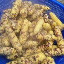 능주농협주유소 이미지