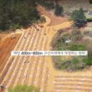 천마영농조합법인 이미지