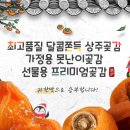 더과일상회