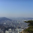 선녀&나무꾼