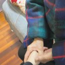 닥터파인드 이미지