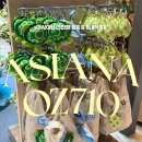 11650-1-10-710 | 세부 가족여행 Day 4. 아시아나항공 OZ710 탑승 &amp; 기내식 후기