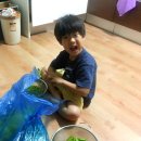 콩깍지민박 이미지