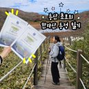 샛별초등정문앞 | 11월 한라산 등정 사라오름 후기ㅣ나도 했다, 너도 할 수 있다...근데 죽을 수도 있다.. (하산푸드추천...