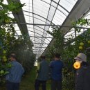 봉도농장 이미지