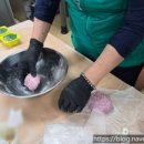 증평군 장애인회관 이미지