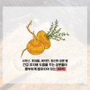 마카 트레이닝 이미지