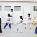 으뜸태권도장 이미지