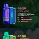 카오린 네이버블로그