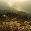 번개목장 이미지