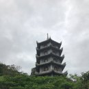 오행약손
