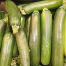 홍익바이오 이미지