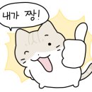 고양이묭실 이미지