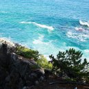 영덕 물가자미 전문점 이미지