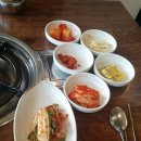 선지농장 이미지