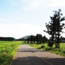 방산목장 이미지