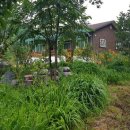 드림농장 이미지