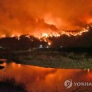 호산주유소 이미지