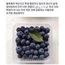 햅삐