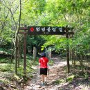 남도삼백리길(10코스) 이미지