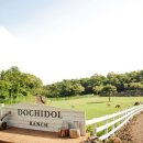 알파카 펜션 이미지