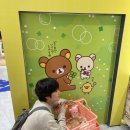 무언가에 사로잡히기 위해 존재했던 아름다운 시간들
