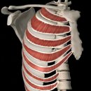 올바른필라테스&PT 이미지