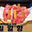 일일양충북 이미지