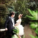 수원-0223 Daum카페